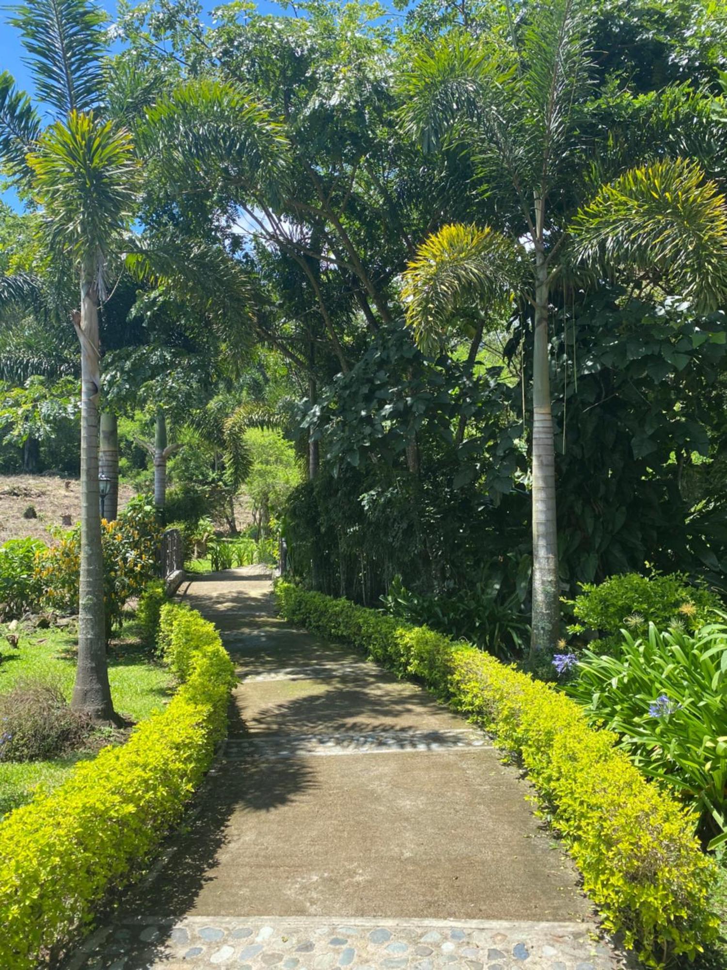 Hotel Boutique Casona Del Cafetal And Lakeside Restaurant Cachi Экстерьер фото